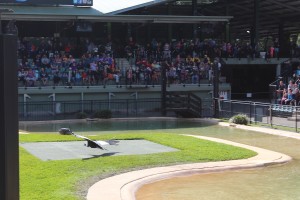 Australien Zoo-051
